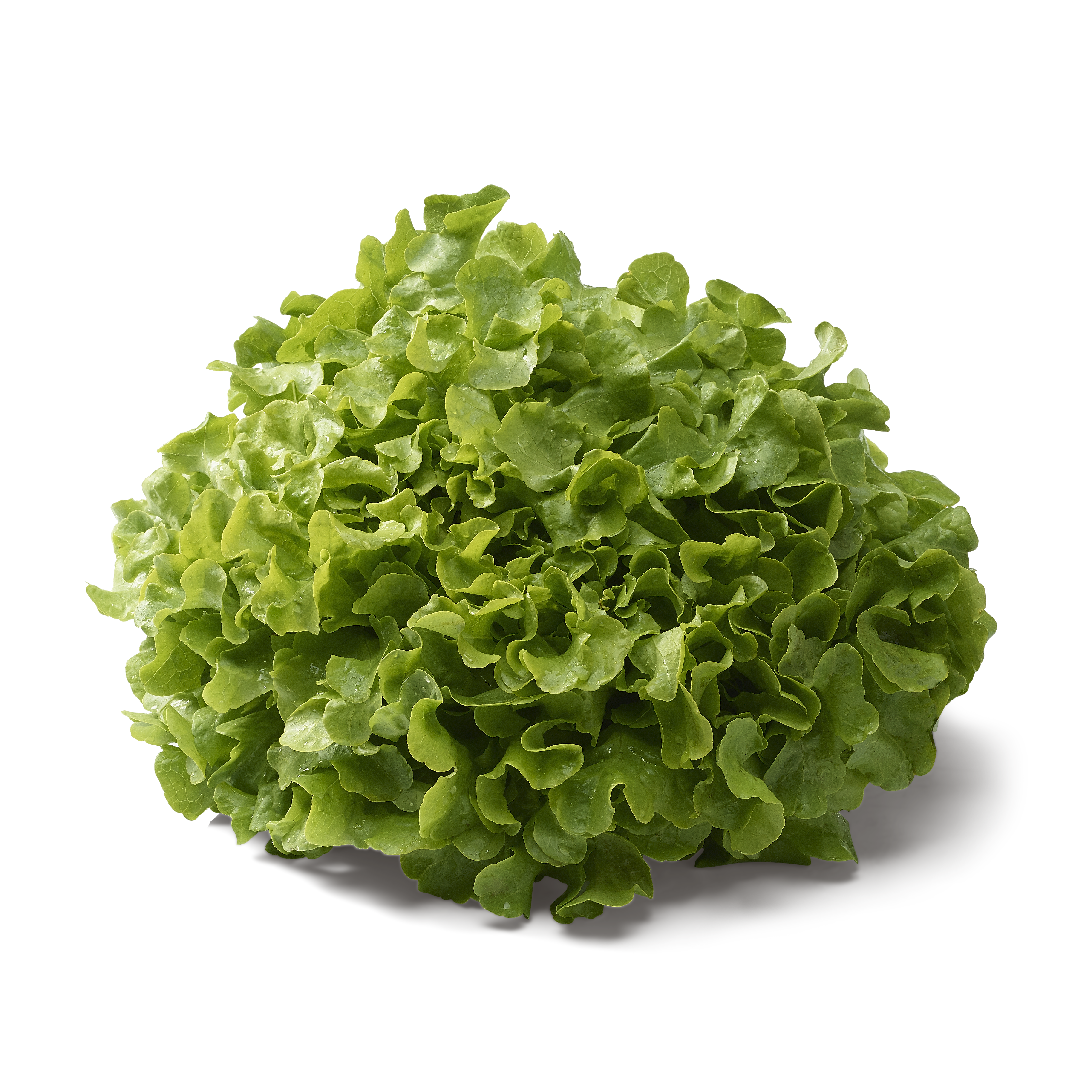 BBZN Kanton Luzern Abteilung Spezialkulturen und Pflanzenschutz