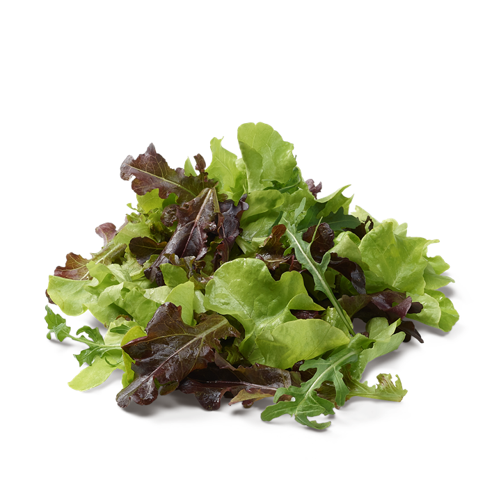 Schnittsalat