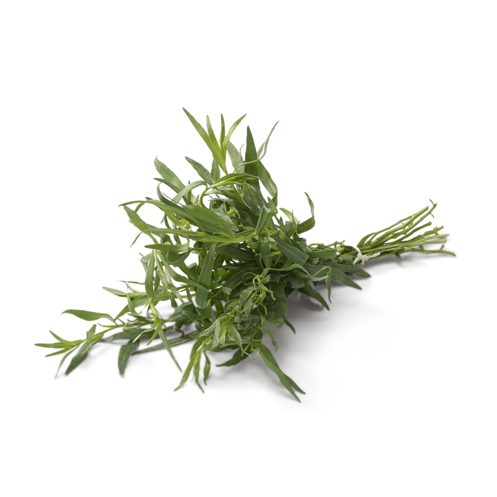 Dragoncello