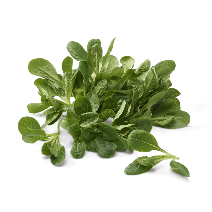 Red Rampon Rampon | Légumes suisses