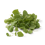 Brunnenkresse