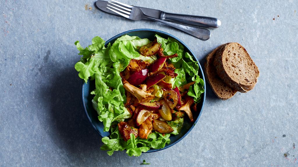 Insalata di lattuga foglia di quercia con finferli