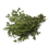 Thymian