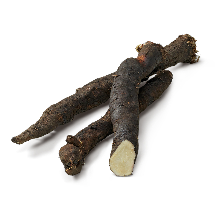 Schwarzwurzel