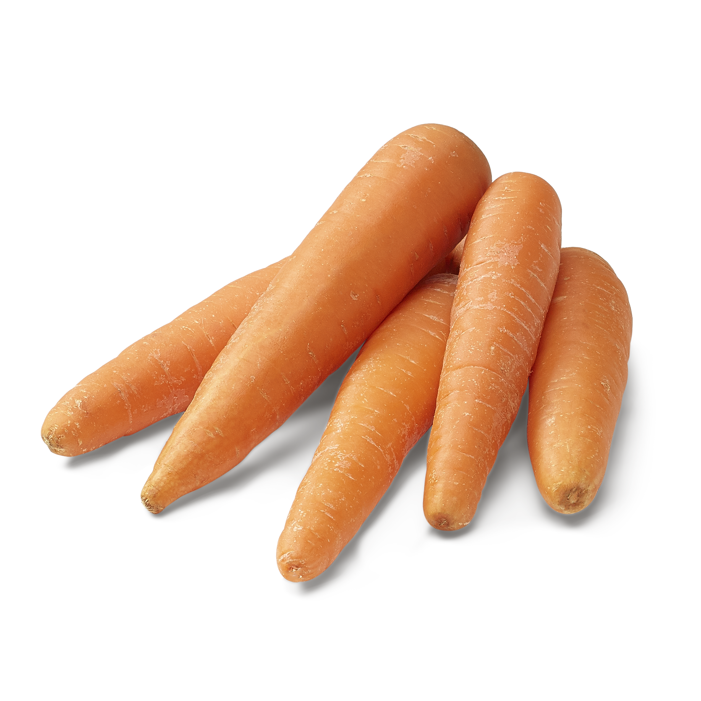 Landwirtschaftliches Zentrum St. Gallen Fachstelle Pflanzenschutz