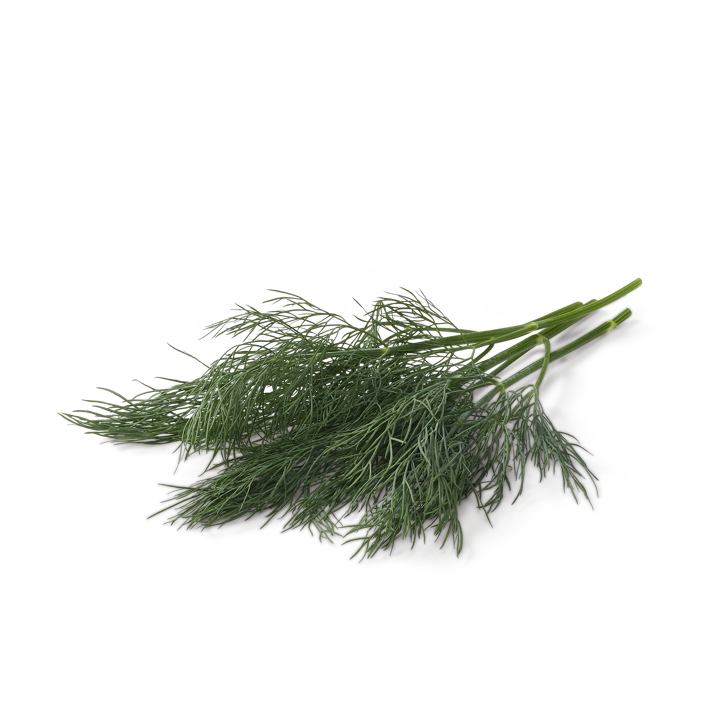 Dill