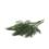 Dill